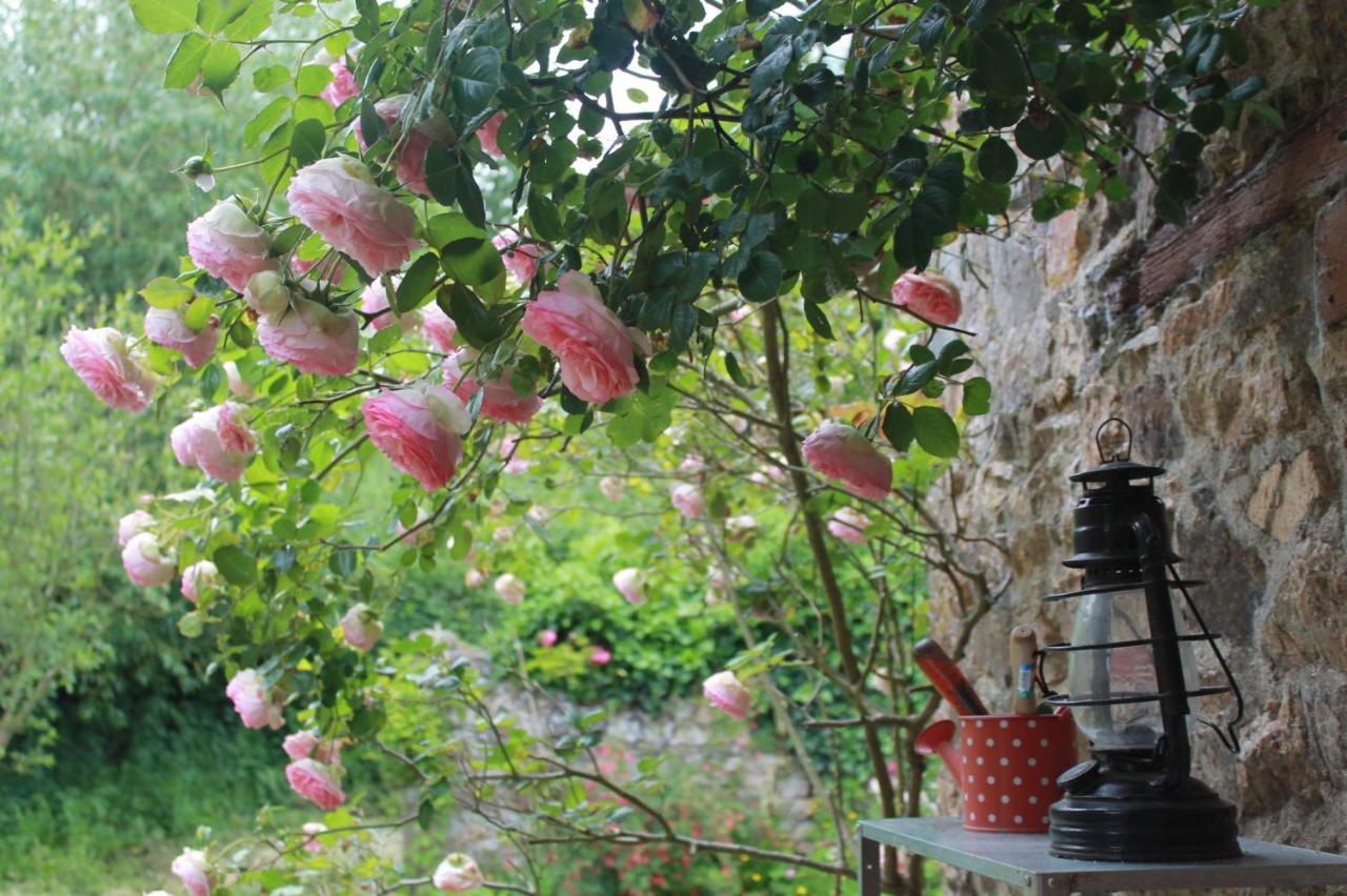 Le Manoir De Panduonec Bed & Breakfast Treverec Dış mekan fotoğraf